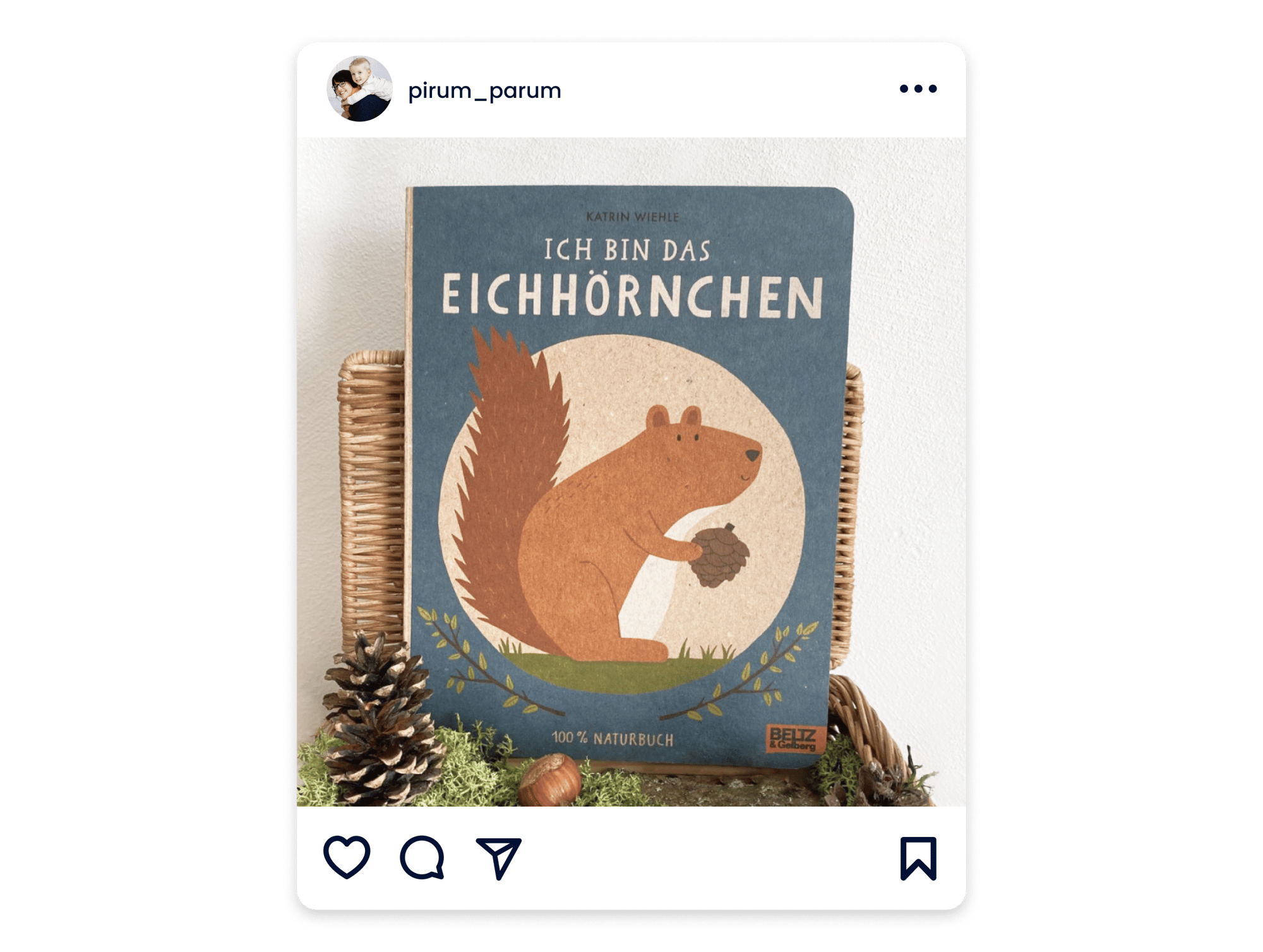 Kunden-Case Mainwunder_Naturbuch fuer Kinder